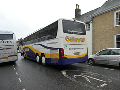 Galloway 141 (3379 PP) (BN12 EOO) in Bury St. Edmunds - 23 Nov 2019 (P1050968)