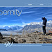 ipernity homepage with #1637