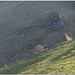 HFF ~ An uphill struggle