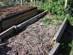 new raised beds