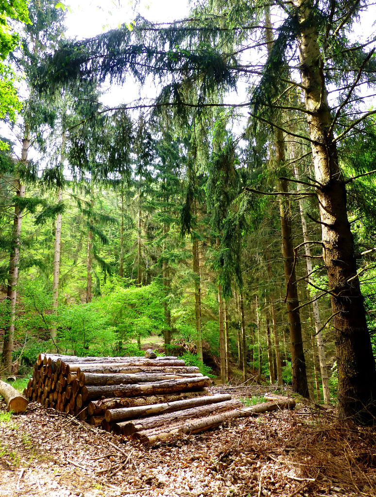 DE - Hönningen - Auf dem Teufelsleyweg