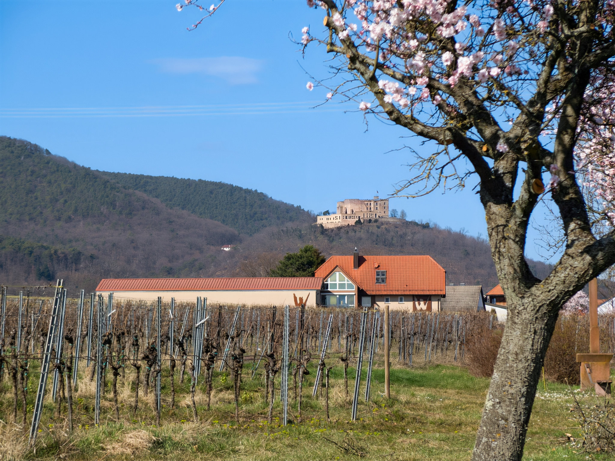 Hambacher Schloss