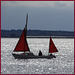Red sails against the silvery Tay