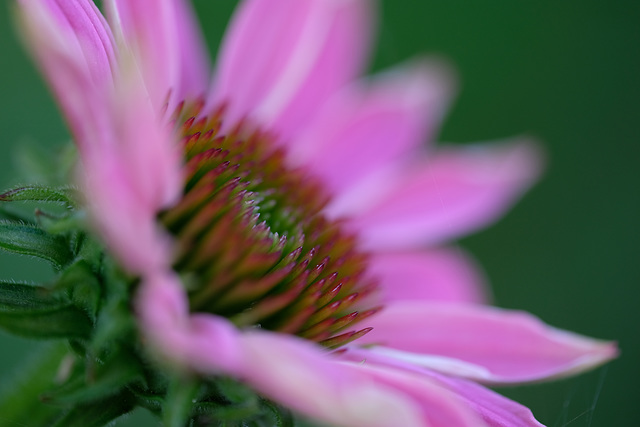 DSCF6163