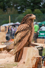 The Carrbridge World Chainsaw Carving Championship 2018