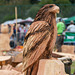 The Carrbridge World Chainsaw Carving Championship 2018