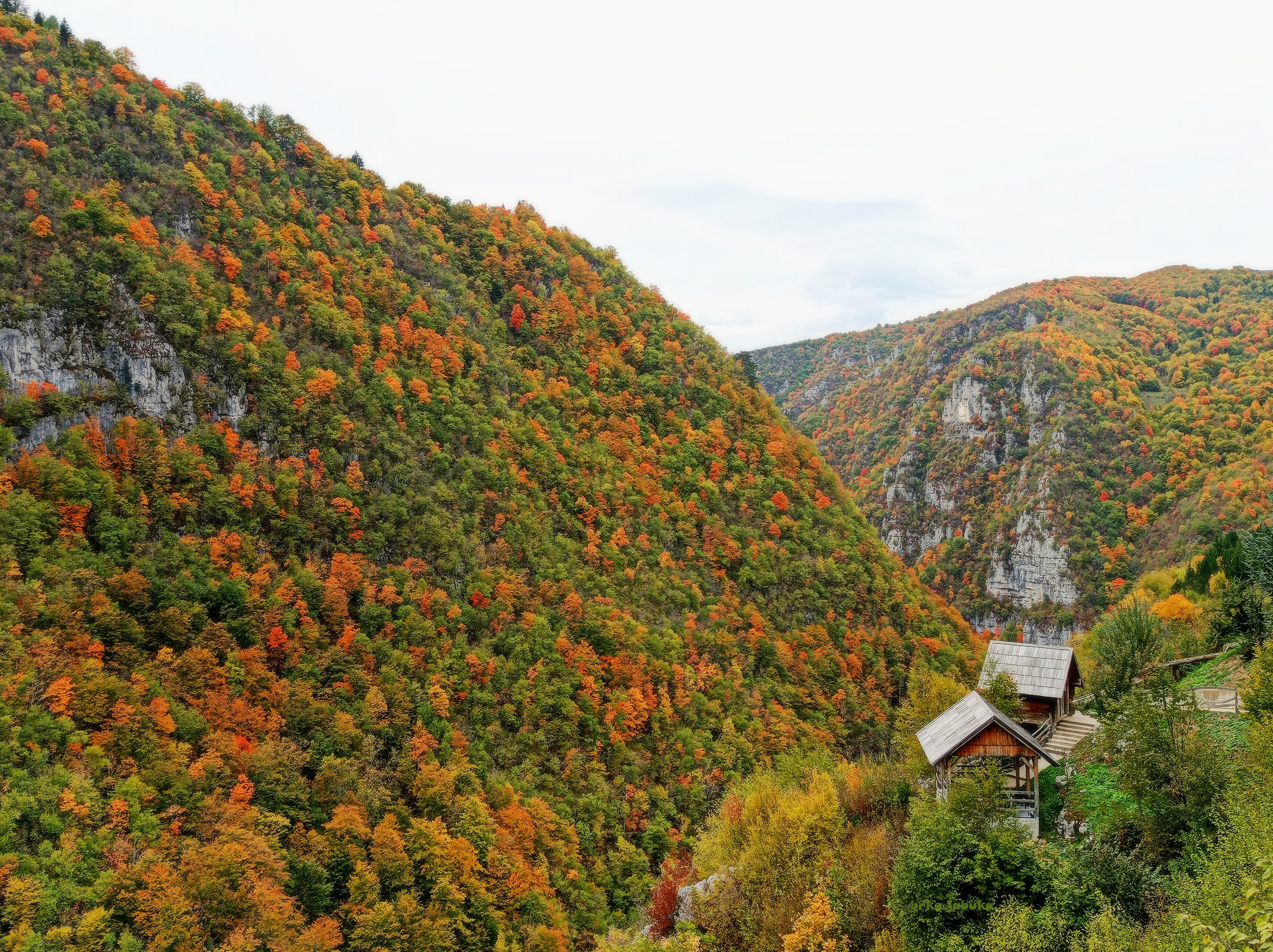 Canyon of Ugar river (2)