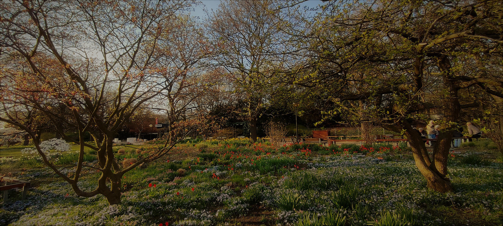 Planten und Blomen 17.04.2021