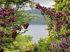 Abriachan, Loch Ness