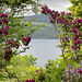 Abriachan, Loch Ness