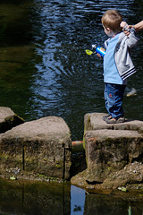 2009-05-17-11h34m13DSC 8236