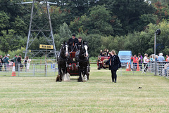 179casaug102024 (1216)