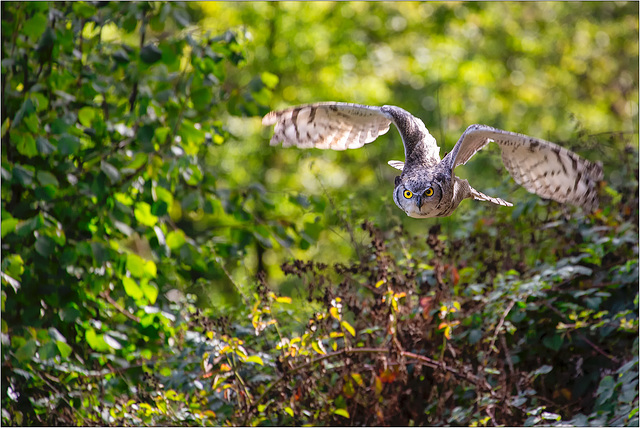 Lotte im Anflug Lotte im Anflug