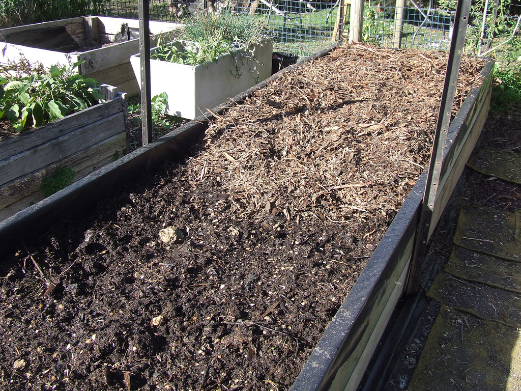 new raised beds