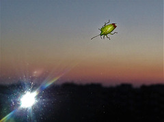 Außerirdischer Besuch