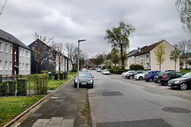 Musfeldstraße (Oberhausen-Klosterhardt) / 15.04.2023