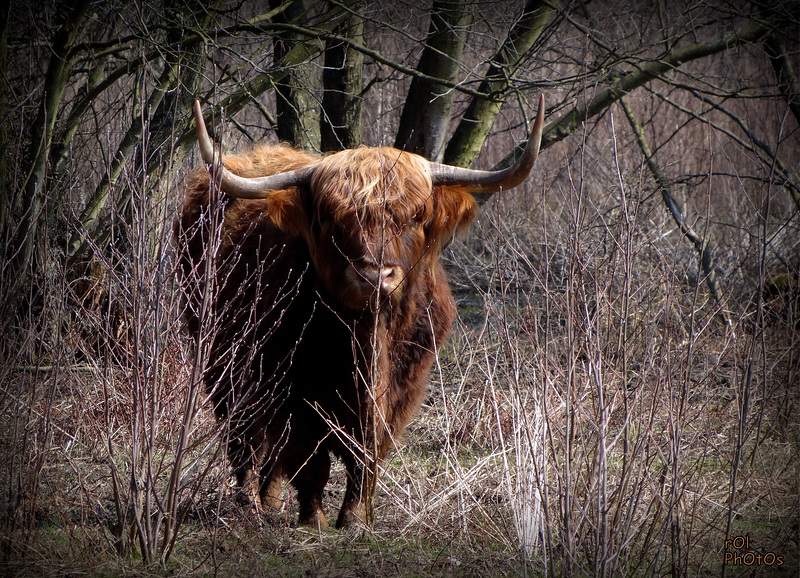 Belle rencontre en Alsace