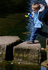 2009-05-17-11h34m23DSC 8237