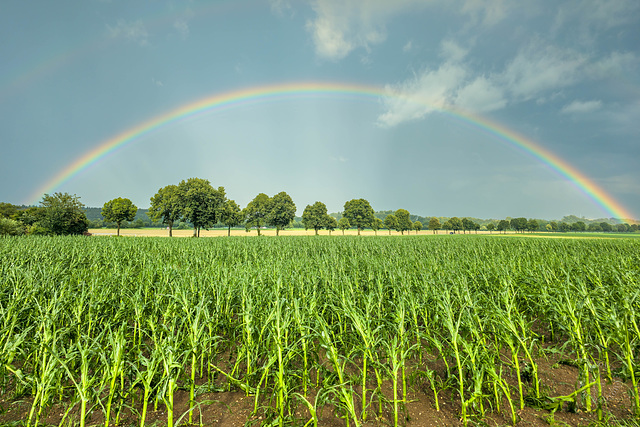 Valley Regenbogen - Rainbow