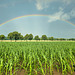 Valley Regenbogen - Rainbow