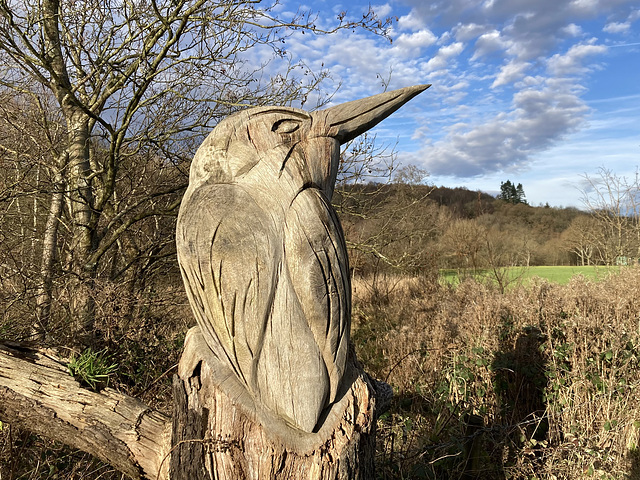 Kingfisher Carving