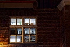 Küchenfenster Küchenfenster