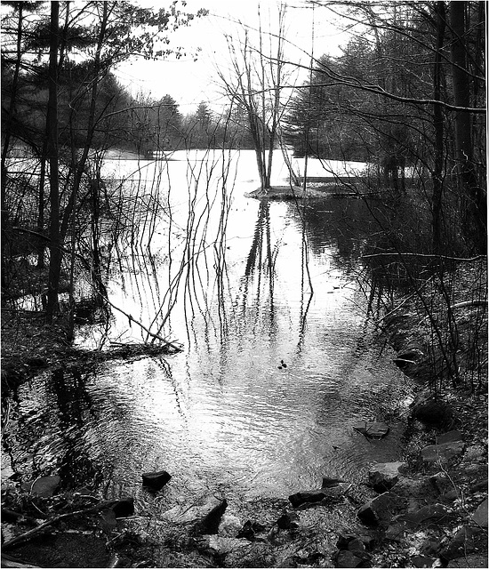 Lake Wintergreen