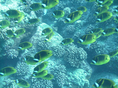 PICT0336.JPG