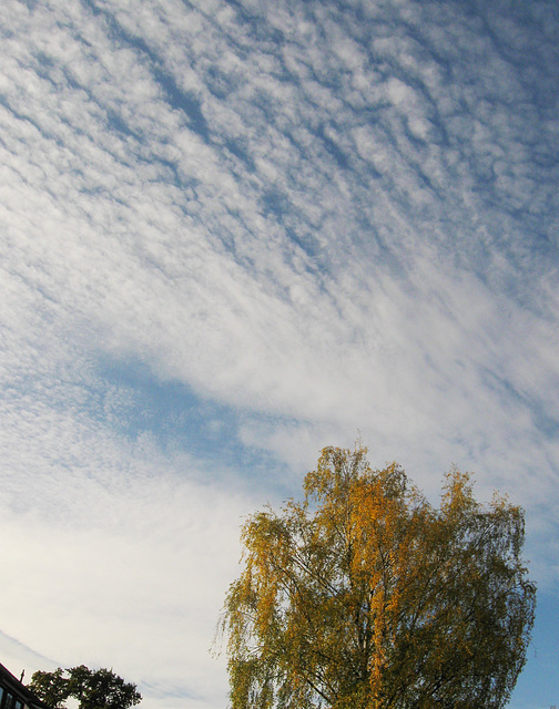 Herbst-Himmel