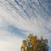 Herbst-Himmel