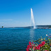 le Jet d'Eau, ein Wahrzeichen von Genf/Genève - P.i.P. (© Buelipix)