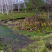 When the water table drops 15 feet, there are consequences for a natural pond!