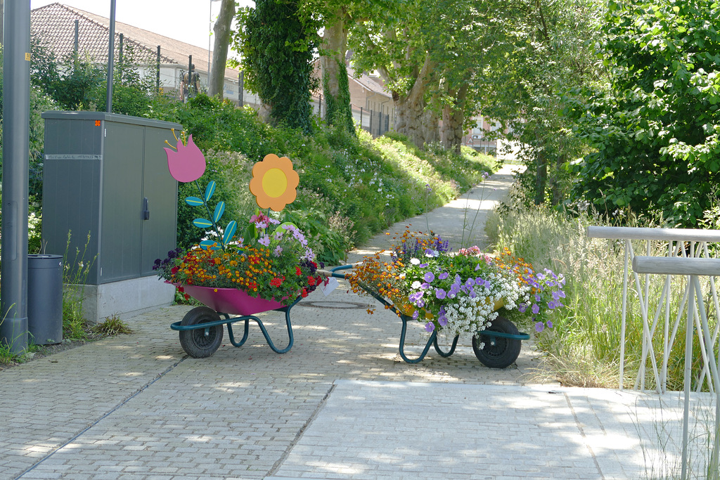 Schubkarre für den blumigen Zweck