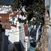 Gaucín