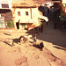 Voir la vie marocaine depuis un toit / Morroco live action from a roof