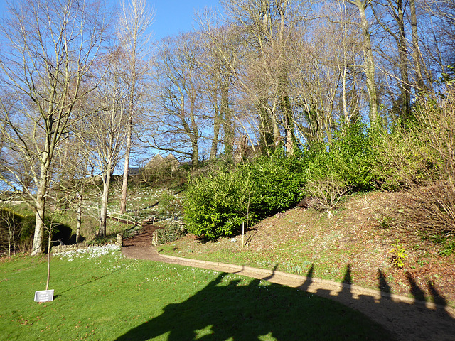Painswick Rococo Garden (18) - 19 January 2020 Painswick Rococo Garden (18) - 19 January 2020