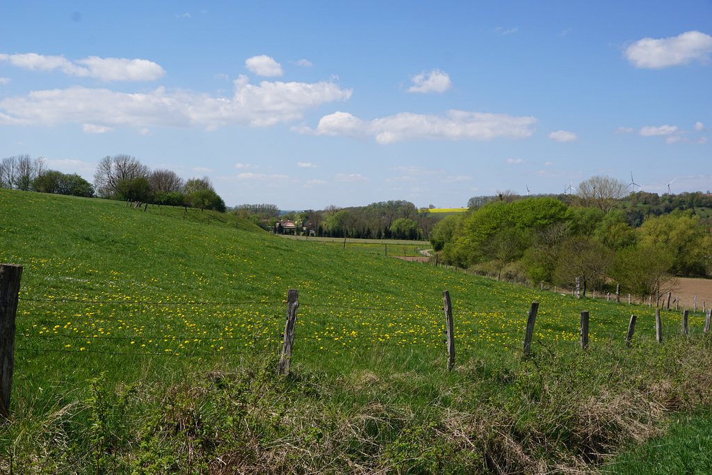 Herrliches Wanderwetter VII