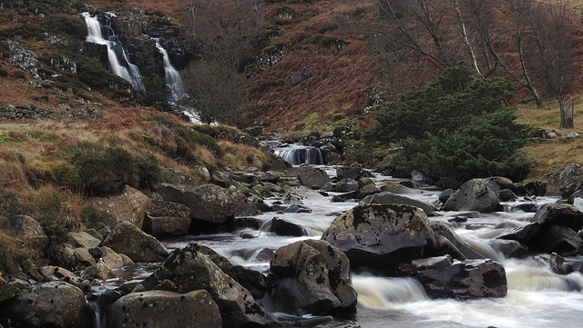 P1010612 Bleabeck Force