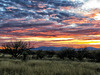 The Huachuca Mountains