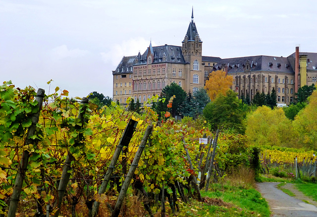 DE - Ahrweiler - Former monastery Kalvarienberg