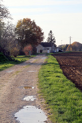 Chemin de Lady - 6191