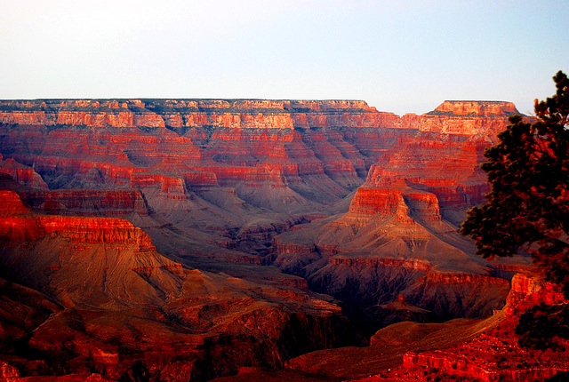 Grand Canyon at sunset