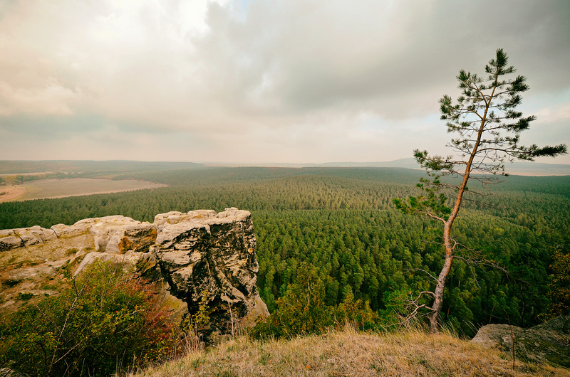 Mein Harzer Land