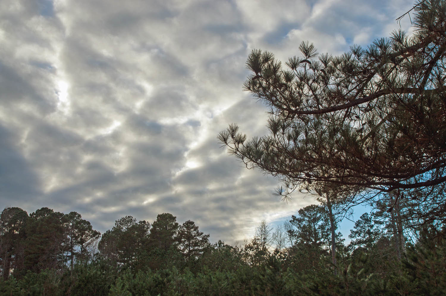 Incoming Clouds