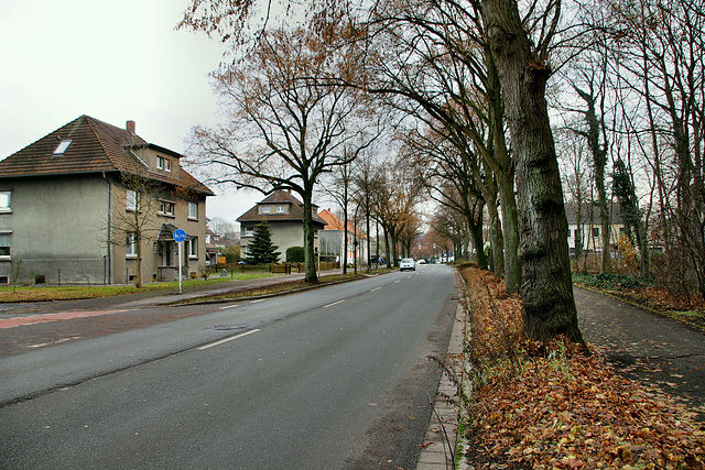 Carl-Duisberg-Straße (Marl-Hamm) / 12.12.2018