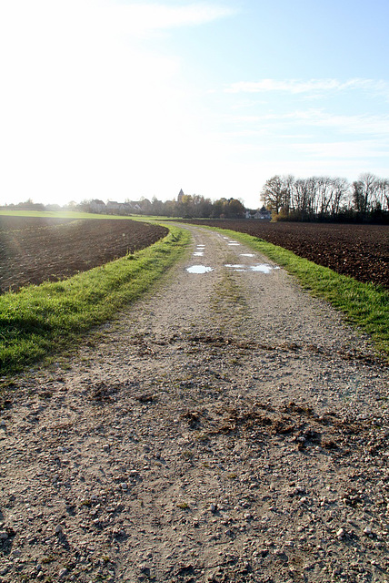 Chemin de Lady - 6188