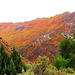 Autumn in South Canyon