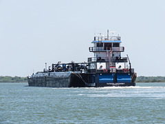 Day 3, transport in Aransas Bay