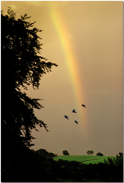 Evening in Malhamdale