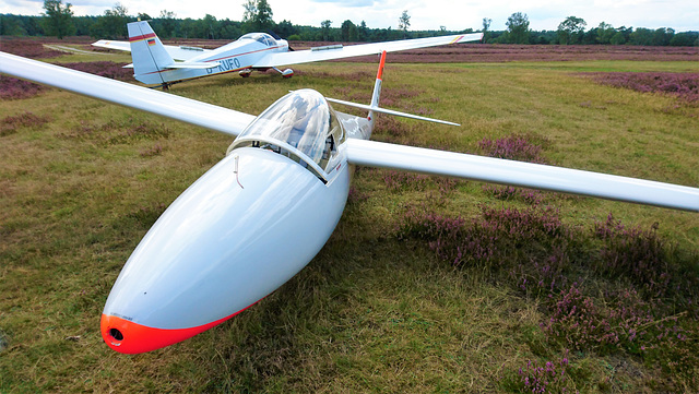 Segelflugzeug und Motorsegler in der Fischbeker Heide